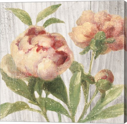 Framed Scented Cottage Florals I Crop Print