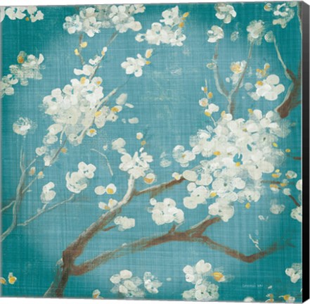 Framed White Cherry Blossoms I on Teal Aged no Bird Print