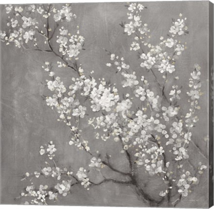 Framed White Cherry Blossoms II on Grey Crop Print