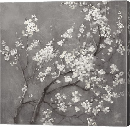 Framed White Cherry Blossoms I on Grey Crop Print