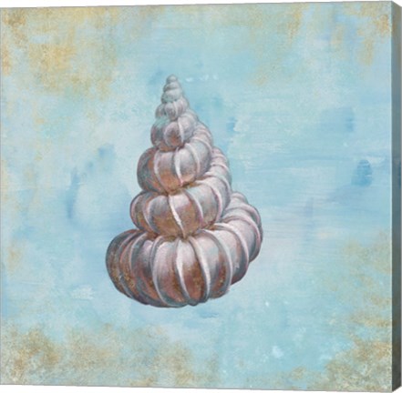 Framed Treasures from the Sea II Watercolor Print