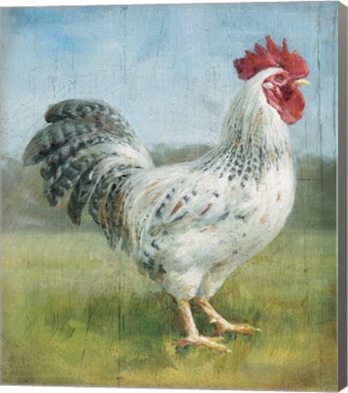 Framed Noble Rooster IV v.2 Vintage No Border Print