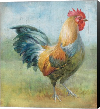 Framed Noble Rooster III Vintage No Border Print