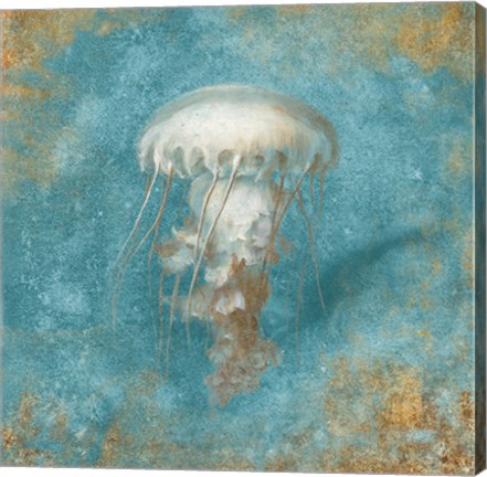 Framed Treaures from the Sea VI Aqua Print