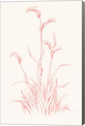 Framed Farm Nostalgia Flowers V Print
