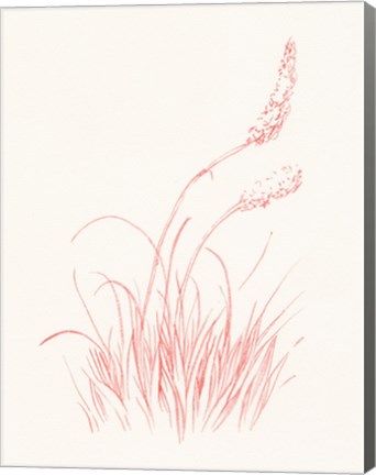 Framed Farm Nostalgia Flowers IV Print