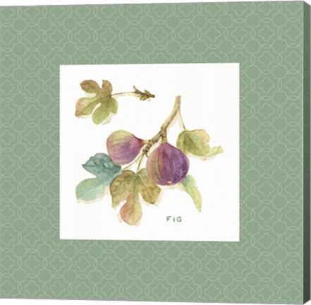 Framed Orchard Bloom III Border Print