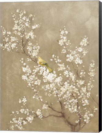 Framed White Cherry Blossom II Neutral Crop Bird Print