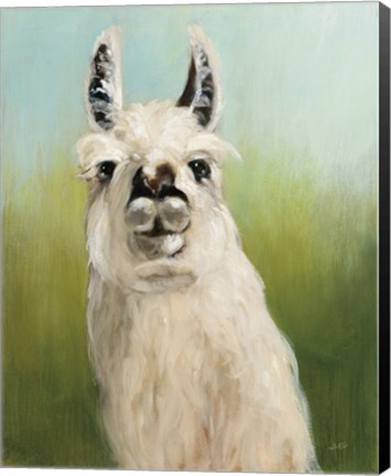 Framed Whos Your Llama I Print