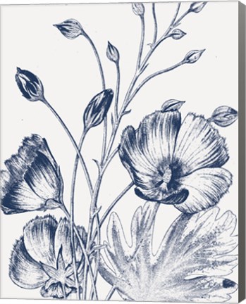 Framed Botanical Beauty Chalk IX Blue on White Crop Print