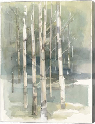 Framed Birch Grove I Print