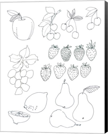 Framed Line Art Fruits Print