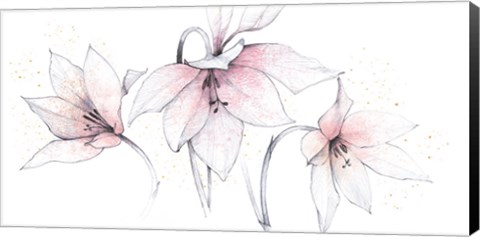 Framed Pink Graphite Floral Trio Print