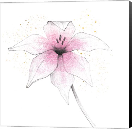 Framed Pink Graphite Flower V Print