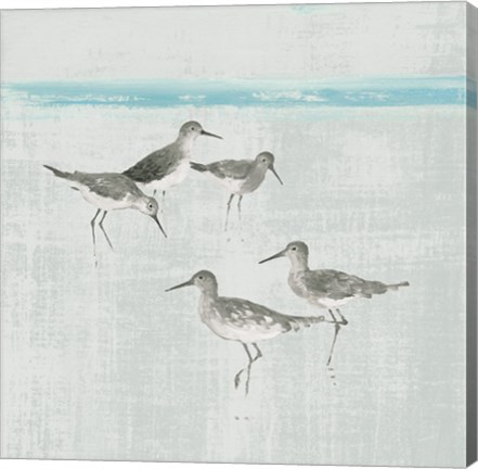 Framed Sandpipers Square I Gray Print