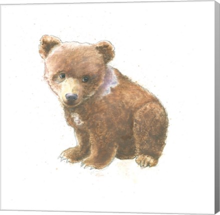 Framed Into the Woods Bear Cub Print