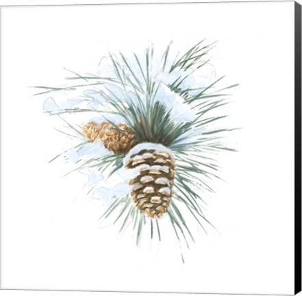 Framed Into the Woods Pinecone II Print