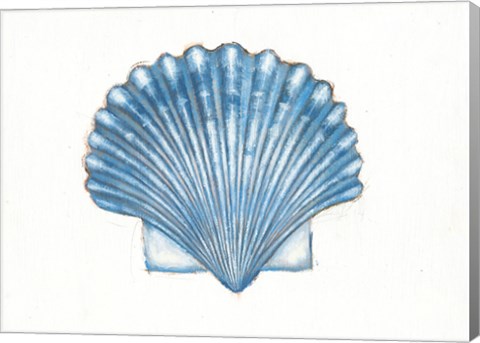 Framed Navy Scallop Shell Print