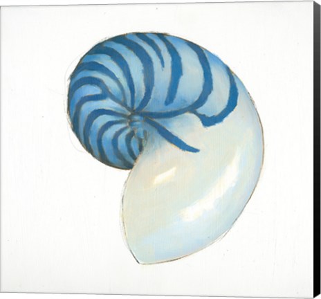 Framed Navy Nautilus Shell Print