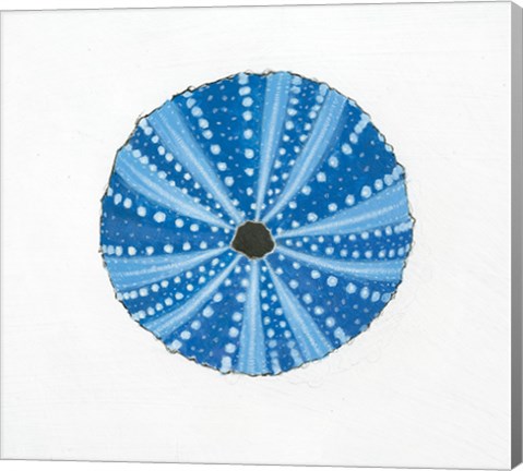 Framed Navy Circular Shell Print