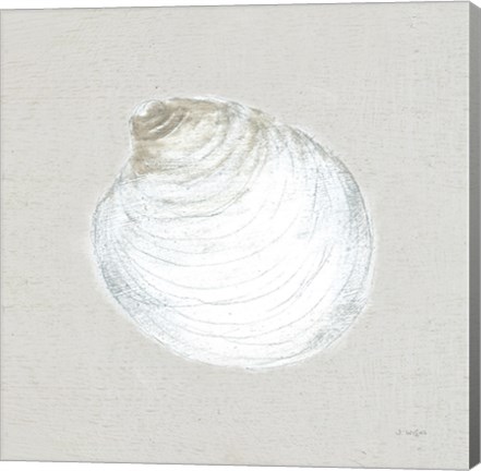 Framed Serene Shells II Tan Print