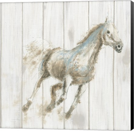 Framed Stallion I on Birch Print