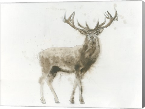 Framed Stag Print