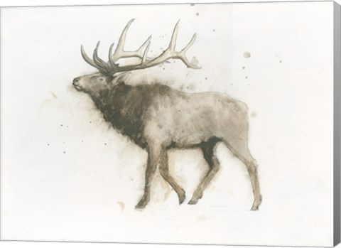 Framed Elk Print