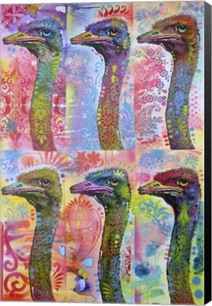 Framed 6 Ostriches Print