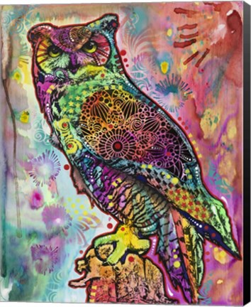 Framed Owl Print