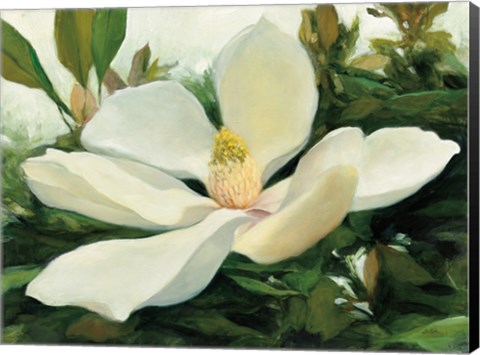Framed Majestic Magnolia Print