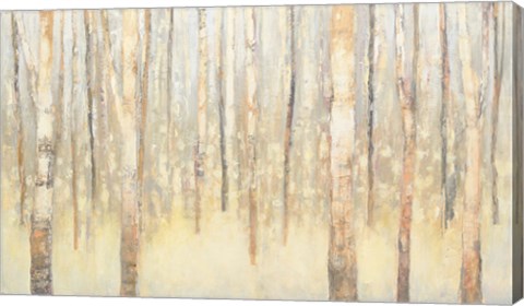 Framed Birches in Winter Print