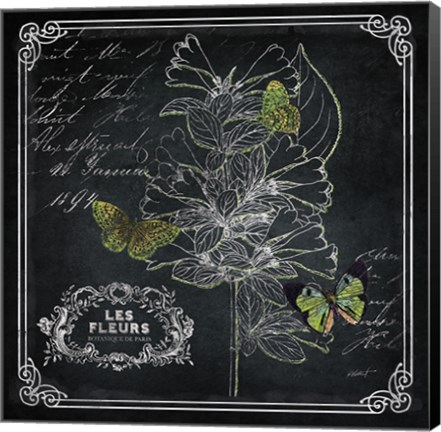 Framed Chalkboard Botanical II Print
