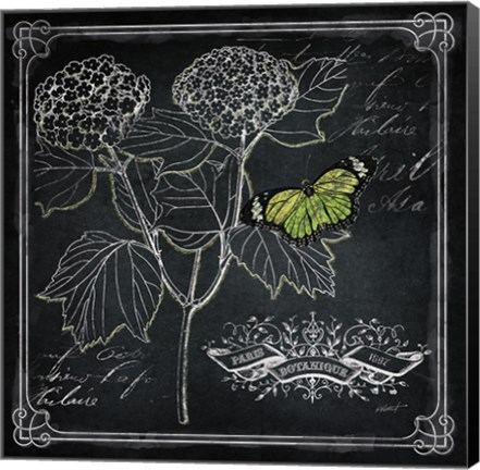 Framed Chalkboard Botanical I Print