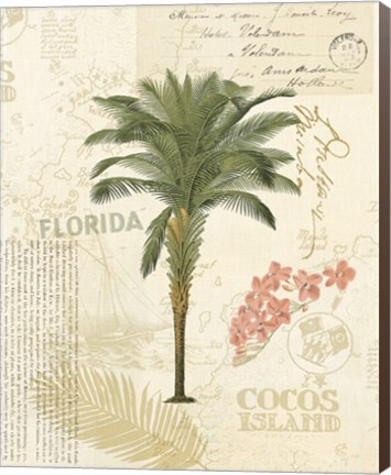 Framed Floridian II Print