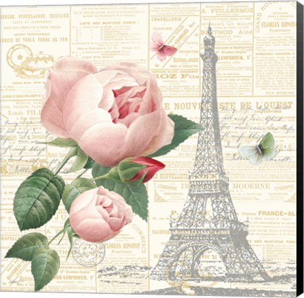 Framed Roses in Paris IV Print