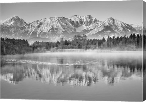 Framed Allgaeu Alps and Hopfensee lake, Bavaria, Germany (BW) Print