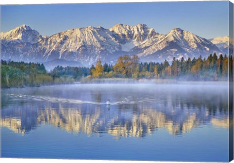 Framed Allgaeu Alps and Hopfensee lake, Bavaria, Germany Print