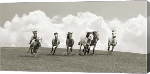 Framed Herd of Wild Horses (BW) Print