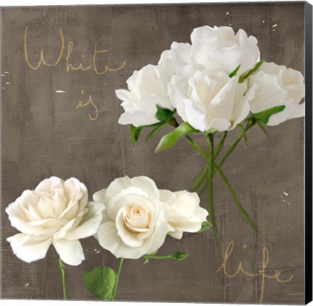 Framed White Roses Print