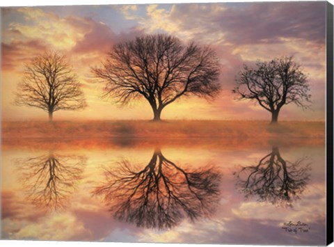 Framed Trio of Trees Print