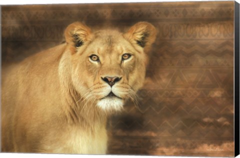 Framed Tribal Lioness Print