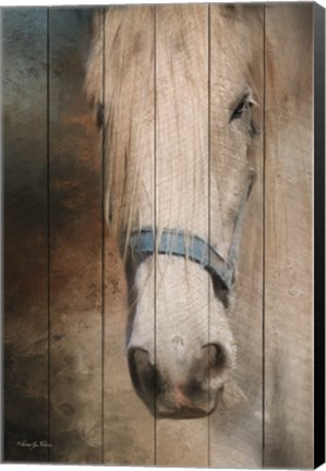 Framed Old Gray Mare Print