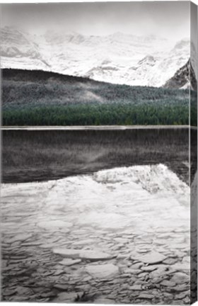 Framed Waterfowl Lake Panel I BW with Color Print