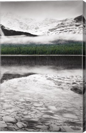 Framed Waterfowl Lake Panel III BW with Color Print