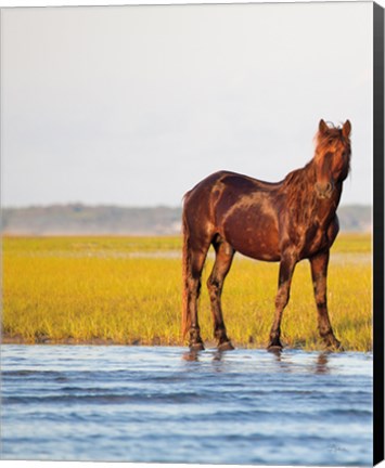 Framed By the River Print