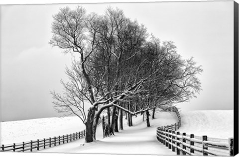 Framed Along the Lane I Print