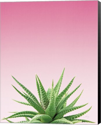 Framed Succulent Simplicity I Pink Ombre Crop Print