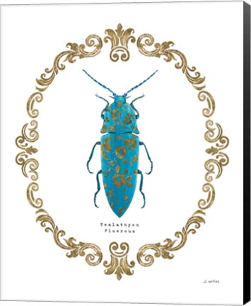 Framed Adorning Coleoptera VIII Print