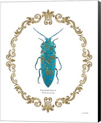 Framed Adorning Coleoptera VIII Print